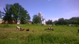 WP_20160604_001